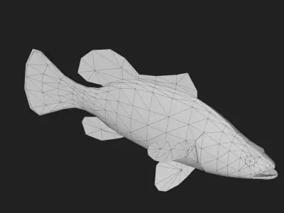 Bass fish Low-poly 3D model 4