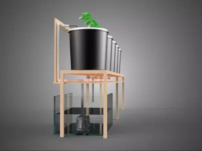 KIT BUCKET DUTCH BATO HYDROPONIC GROWING SYSTEM GARDEN PLANT DIY 3D model