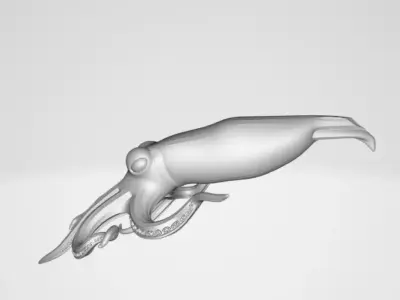 Realistic Squid 3D model