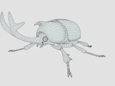 beetle 3D model get