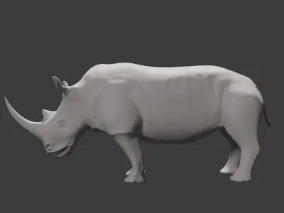 African White Rhino 3D model  3D model