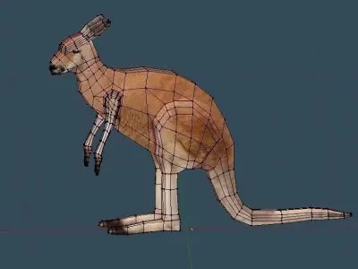 Kangaroo Animated Rigged Low-poly 3D model