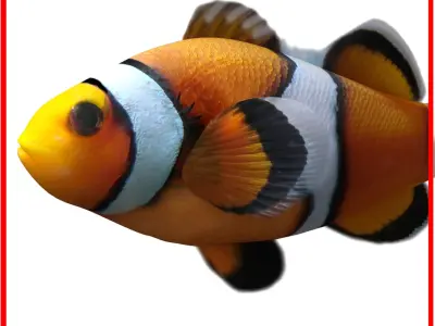 Water Pack (Rigged Models) 3D model