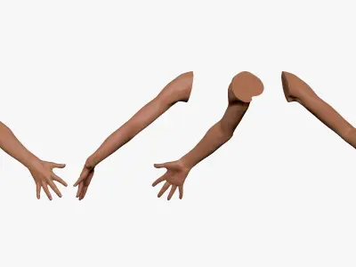 001294 hand of woman all fingers are opened low poly Low-poly 3D model