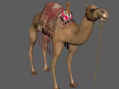 Camel Low-poly 3D model purchase