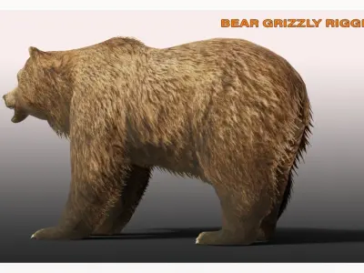 BEAR LOW-POLY RIGGED Low-poly 3D model