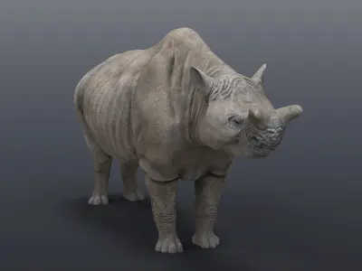 Megacerops coloradensis 3D model
