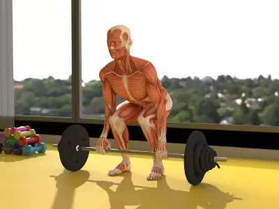 Anatomy Male Muscular System Deadlift Animated for Cinema 4D 3D model