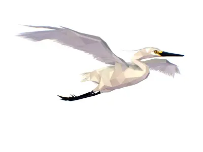 Animated Storck Low Poly Art Low-poly 3D model