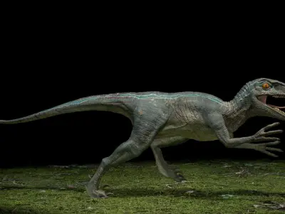 Velociraptor dinosaur 3D model 2