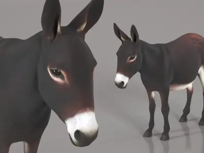  Working Donkey Standing Dark Brown 