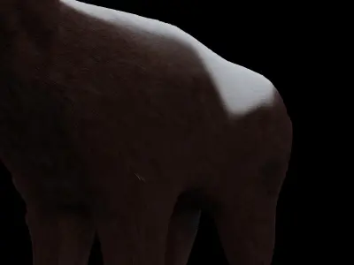 HoneyBadger dog in snow Low-poly 3D model