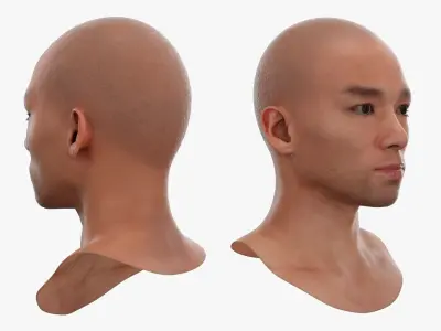 Wraparound D-Frame Sunglasses on Face 3D model
