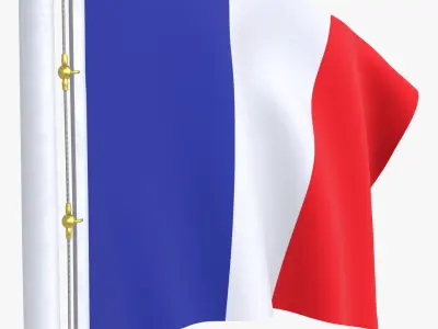 FranceFlagStandPoleAnimated 3D model