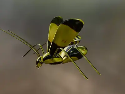 Abelha Robotica 3D model