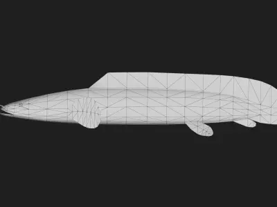 Bichir Low-poly 3D model shop