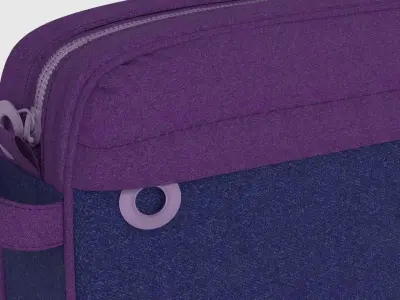 Cosmetic Bag 03 3D model