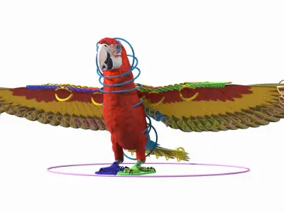 Red and Green Macaw Parrot Rigged 3D model