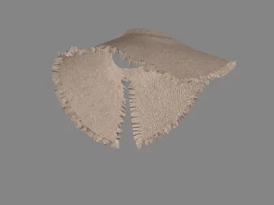 Dress collars scarves and necklaces decorated 3d models 3D model shop