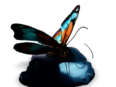 Realistic 3D Butterfly on a Rock Low-poly 3D model