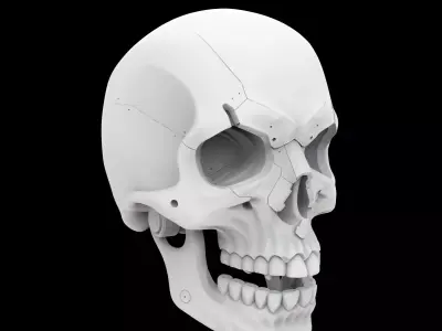 Minimalist Mechanical Skull 3D Print Model 3D print model