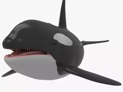 Whale Killer 3D model