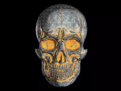 The bas-relief of anatomically correct skulls 3D print model