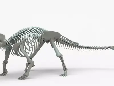 Ankylosaurus Rigged Skeleton Low-poly 3D model