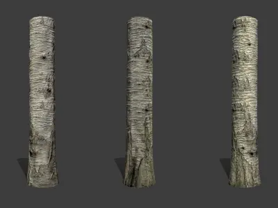 Sweet cherry bark PBR tiled textures 8K 3D model