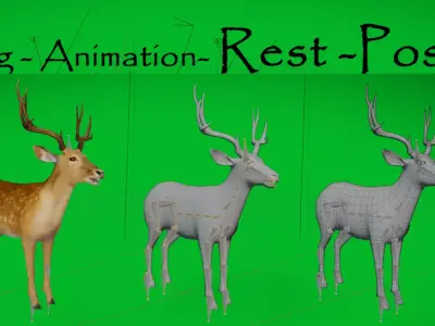 Fallow Deer Free 3D model