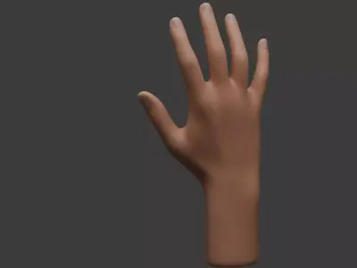 Realistic Hand Model 3D model
