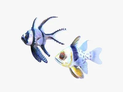  Banggai and Spotted Cardinalfish 