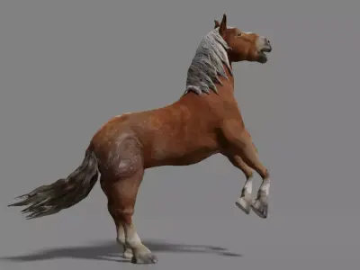 Wild Horse Rigged Low-poly 3D model