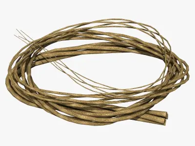 4 Different Rope Models  3D model