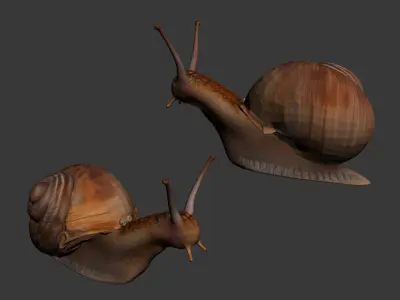 Snail 3D model