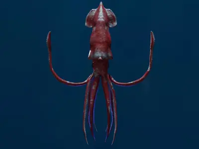 Giant Squid Low-poly 3D model buy