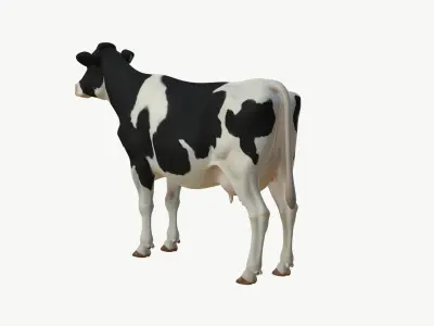  Realistic 3D Cow Model 