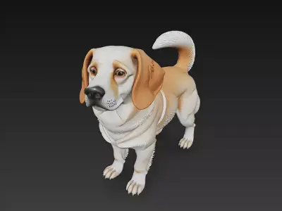 Dog Realistic 3D Model - Low Poly Realistic  Low-poly 3D model