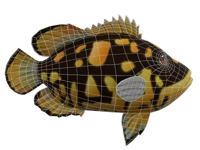 Tripletail Fish Cartoon Animated Low-poly 3D model