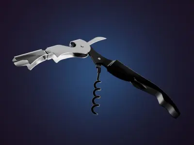 Corkscrew 3D Model 3D model