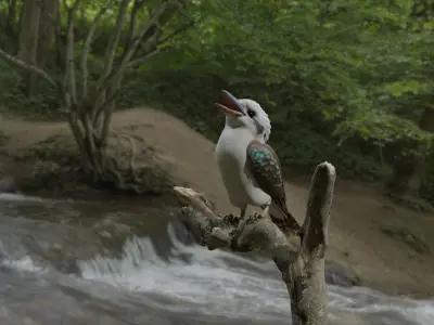 Kookaburra bird perched on tree branch Low-poly 3D model