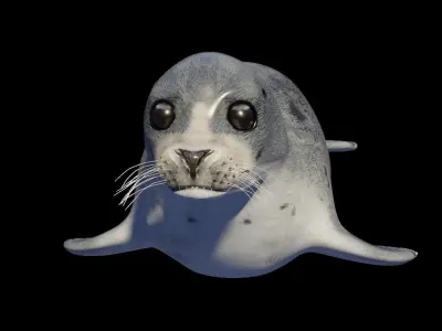 Seal animal Low-poly 3D model