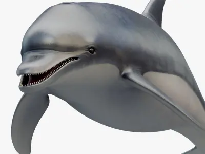  Set of Sea Animals Rigged 8K Low-poly 3D model