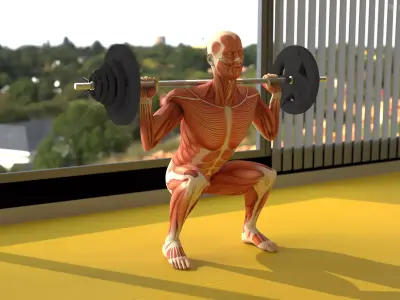 Anatomy Male Muscular System Squats Animated for Cinema 4D 3D model