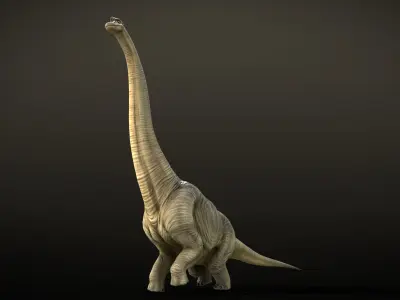 Brachiosaurus Dinosaur Rig and Animations Low-poly 3D model