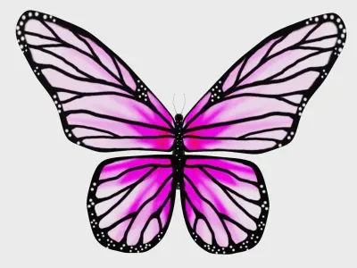 Animated Butterfly 3D model