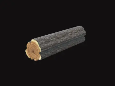 Medieval Log V02 Low-poly 3D model