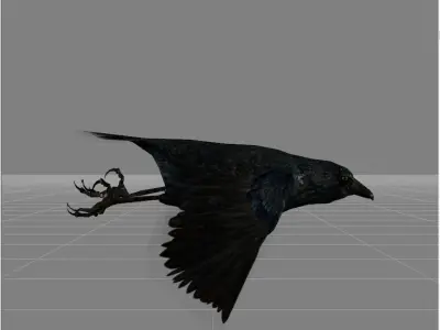 crow v1 animal Low-poly 3D model