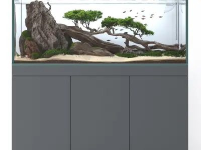 Aquascape aquarium Nature 3D model