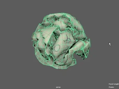 Crumpled paper 3D model